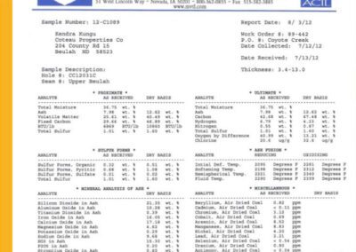 Coal Analysis Report