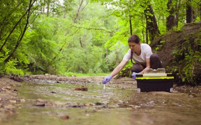 Unit 4: Environmental Impact